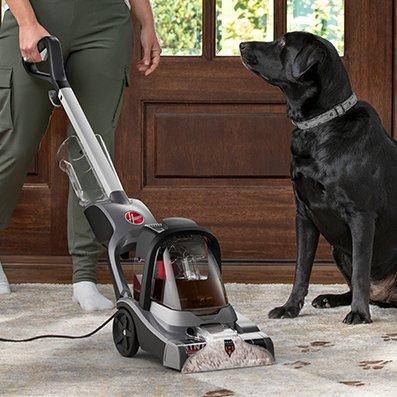 Hoover powerdash pet advanced cleaning tough paw print stains in the carpet